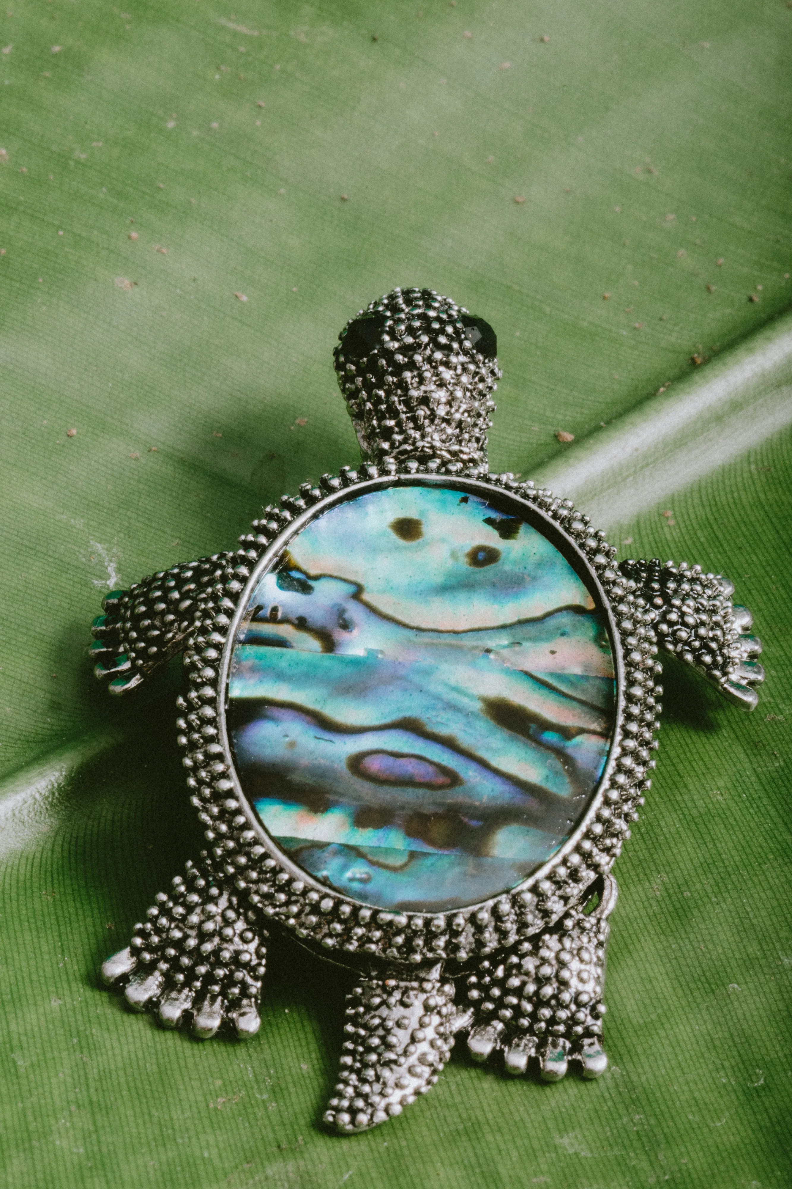 Abalone Shell Sea Turtle Brooch